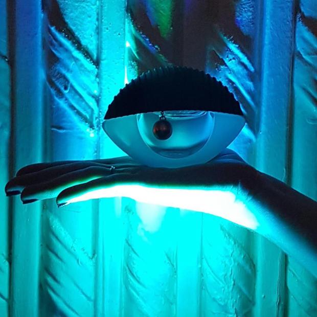 18253255_286975895059442_1961242703425437696_n