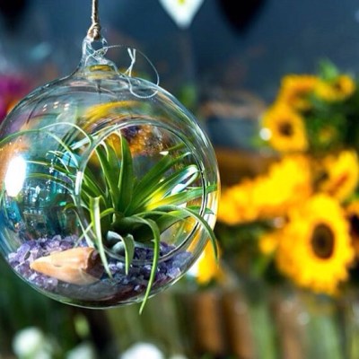 10643960_834322896684514_296793657_n