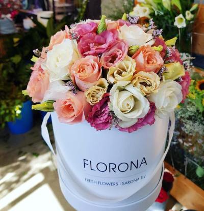 22708883_360875711023955_7726887864788582400_n